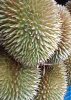 Leckere Durian
